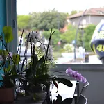 호텔 Vienna *