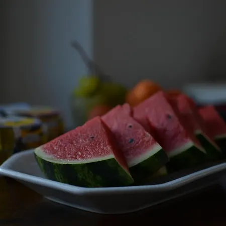 酒店 Vienna 佩萨罗